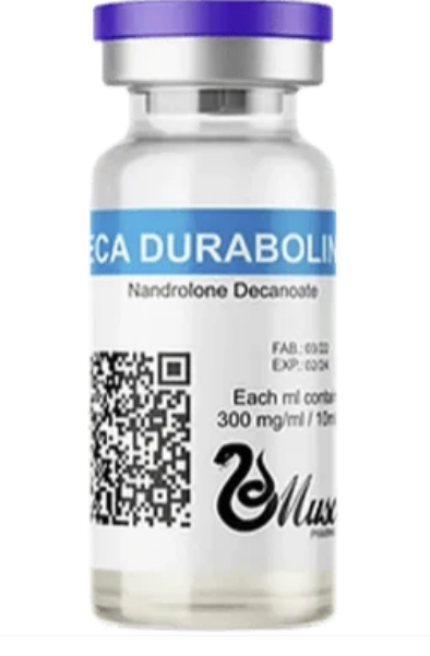 Deca 300mg – MuscleLabs India