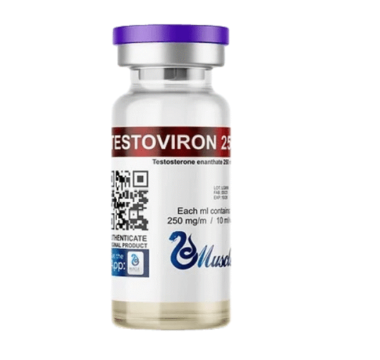 Enantato 250mg – MuscleLabs India